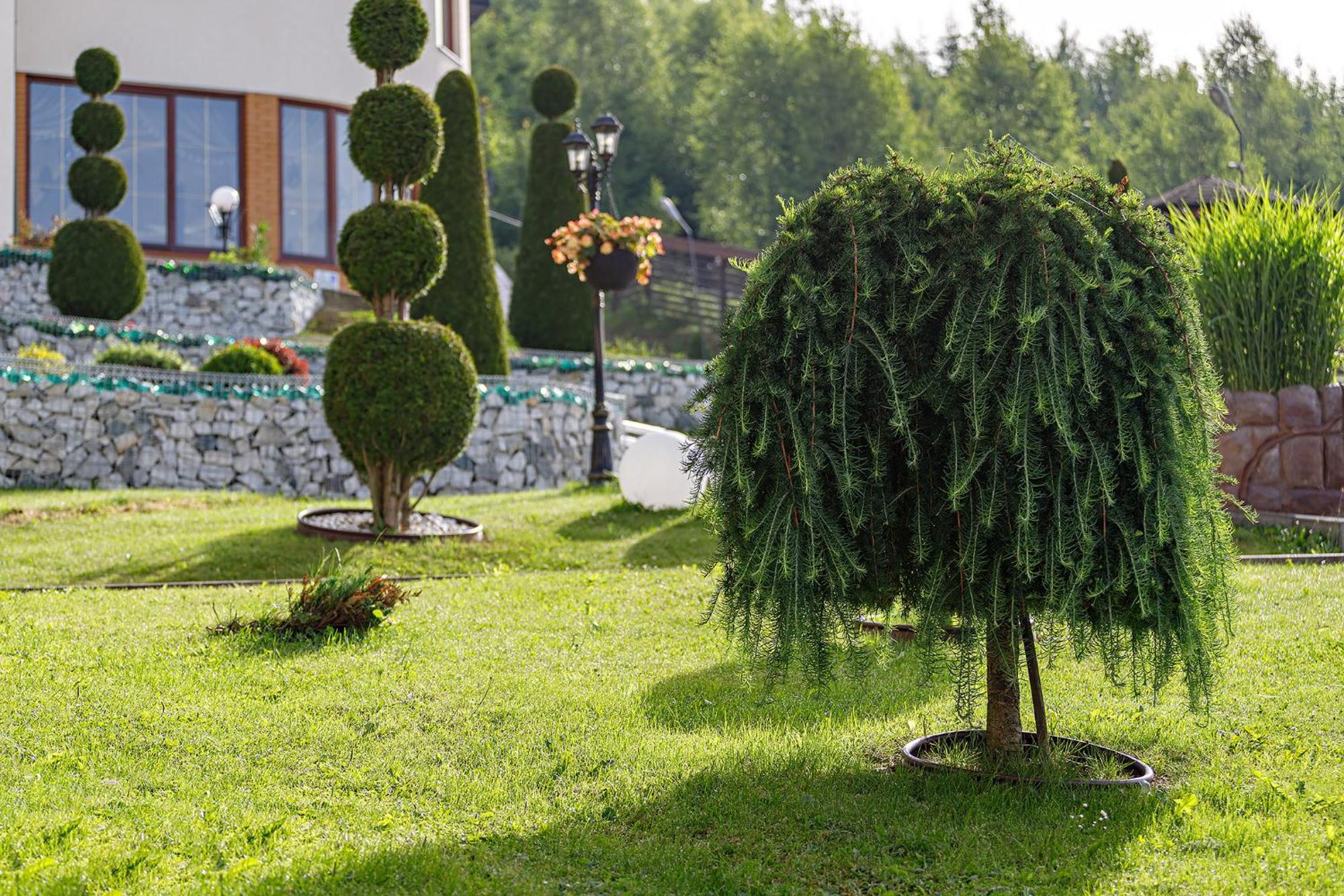 Hotel Podgorie Spa Буковел Екстериор снимка